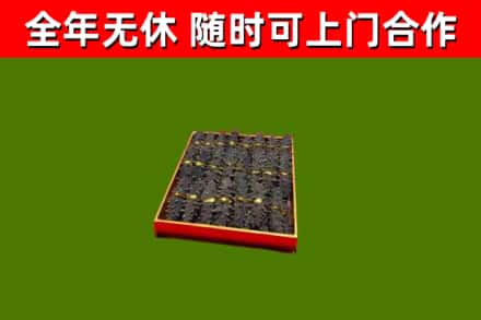 金堂回收海参